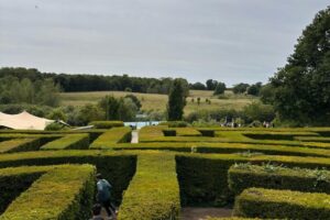 IMG_1973